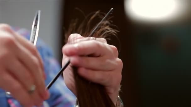 Barbeiro barba fazendo corte de cabelo para cliente hipster — Vídeo de Stock