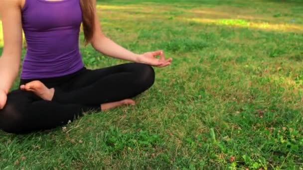 Jong meisje doen yoga in het park — Stockvideo