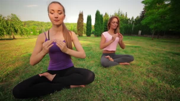 Yoga-Konzept. — Stockvideo