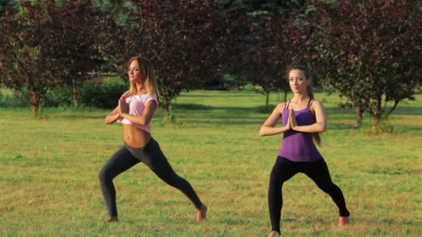 Duas meninas bonitas fazendo ioga no parque — Vídeo de Stock