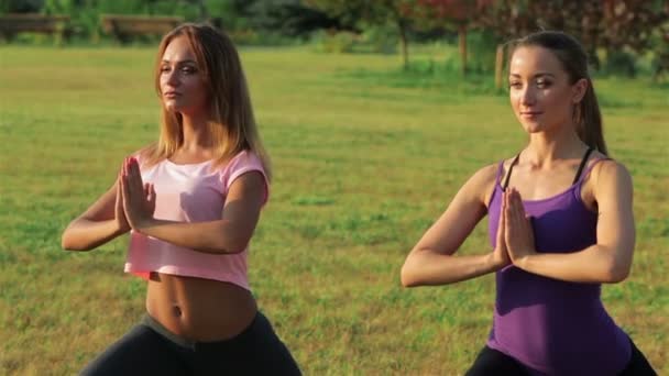 Dwie piękne dziewczyny robi joga w parku — Wideo stockowe