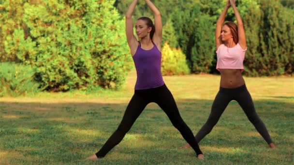 Two beautiful girls doing yoga in the park — Stock Video