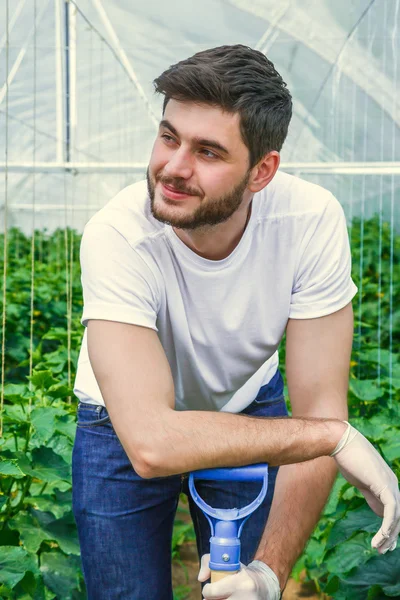 Jóvenes sentados entre hileras de plantas, trabajando en un invernadero . — Foto de Stock