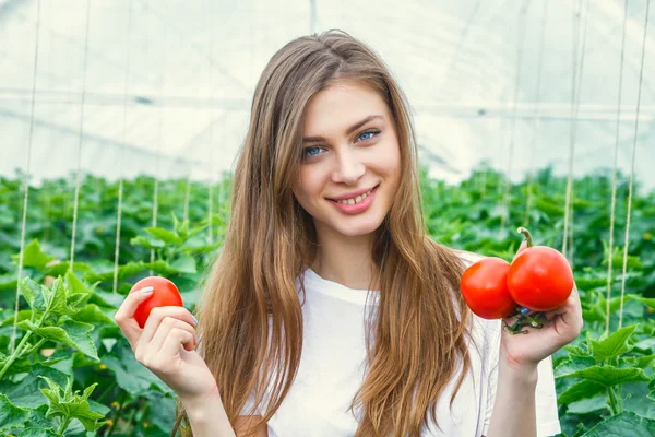 Mooi meisje landbouwer bedrijf tomaat — Stockfoto