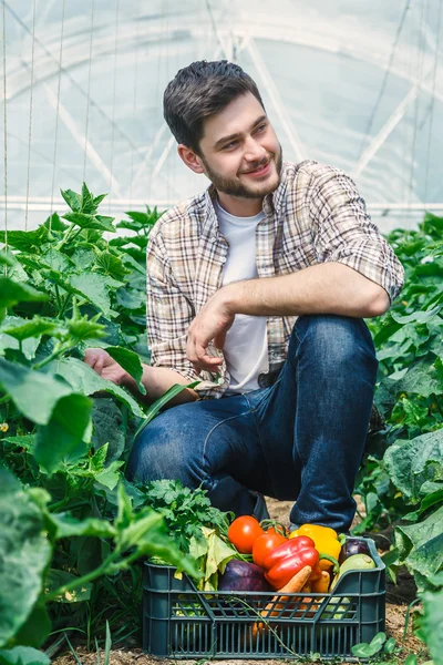 Chico joven está sentado entre filas de plantas . — Foto de Stock