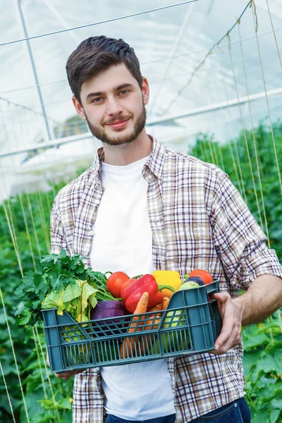 Jonge man met een doos met groenten — Stockfoto