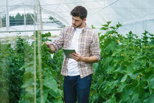 Adam tablet ile yavaş yavaş bitkiler incelemek.