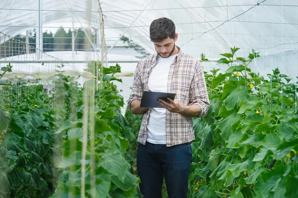 Chico con la tableta inspeccionar lentamente las plantas . —  Fotos de Stock