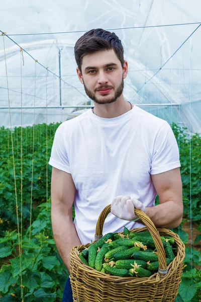 Bir sepet tam hasat ile çiftçi. 