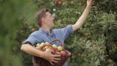 Bir sepet elma dolu olan genç adam
