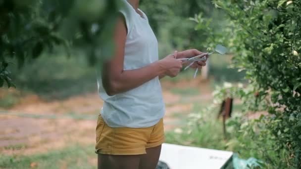 Floristería cortando flores para hacer un ramo — Vídeo de stock