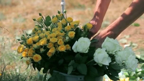 Floristería preparando un ramo — Vídeos de Stock