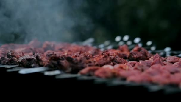Een smakelijk vlees kokend op een vuur — Stockvideo