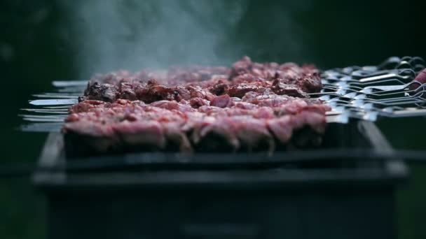 Een smakelijk vlees kokend op een vuur — Stockvideo