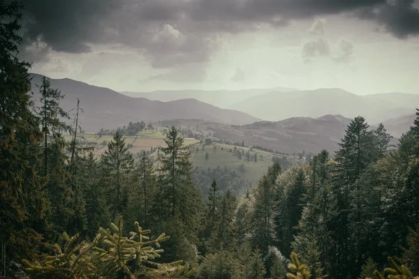 Nature landscape with green mountains valley — Stock Photo, Image