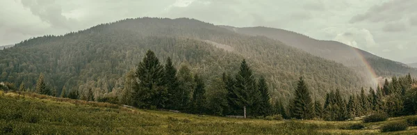 Веселка над гірським лісом — стокове фото