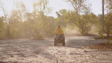 Yalnız gezgin tozlu korulukta zikzak çiziyor, altın güneş ışığı ve yumuşak sis, kumların üzerinde yavaşça dalgın dalgın dalgın ve yapraklı ön planda.,
