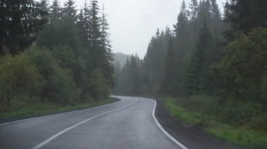 Kıvrımlı, ıslak asfalt yolda giden bir arabanın bakış açısı. Sahne, sisli ve yağmurlu bir günde sık ve yeşil bir ormanda geçiyor.