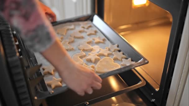 Pfanne mit Lebkuchen in den Ofen schieben — Stockvideo