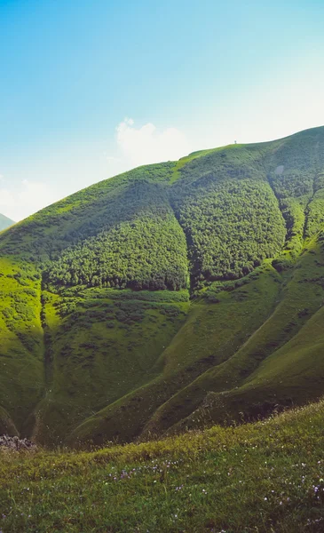 Sunny mountains in Georgia with blue sky and white clouds — Stock Photo, Image