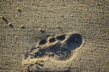 Sahilde ayak izleri var. Yakın çekim.