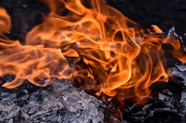 İtalya 'da Sahil Mavi ve Soluk Yeşil Merdivenler