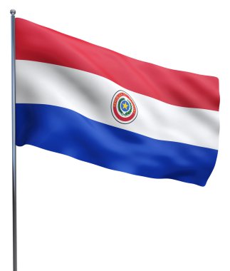 Paraguay bayrak resim