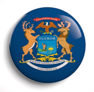 Michigan bayrağı