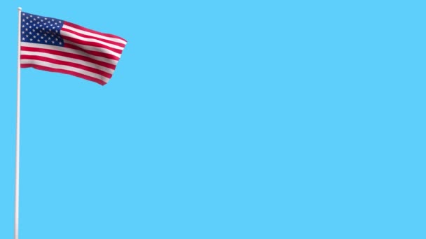 USA flag on plain background — Stock Video