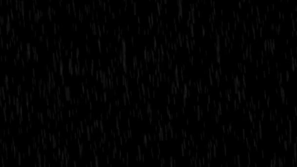 Regen fällt in der Nacht — Stockvideo