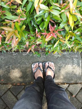 Yaprakların yanında kot pantolon ve sandalet giyen birinin bacakları.