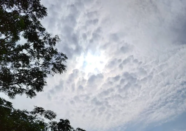 Bewolkt Uitzicht Lucht Met Minimaal Zonlicht Bladeren — Stockfoto