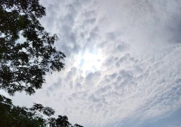 Molnig Himmel Med Minimalt Solljus Och Blad — Stockfoto