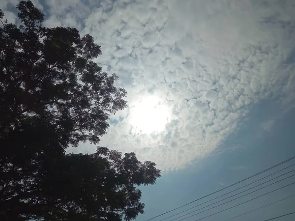 Хмарний Вид Небо Мінімальним Сонячним Світлом Листям — стокове фото