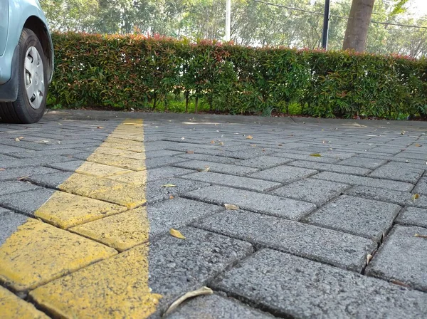 Asphaltierte Straße Mit Geparkten Autos Und Trockenem Laub Gibt Auch — Stockfoto