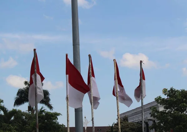 Семаранг Индонезия Августа 2021 Года Некоторые Индонезийские Флаги Развеваются Деревьями — стоковое фото