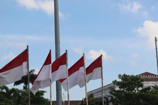 Semarang Indonezja Sierpnia 2021 Niektóre Indonezyjskie Flagi Powiewają Drzewami Budynkami — Zdjęcie stockowe