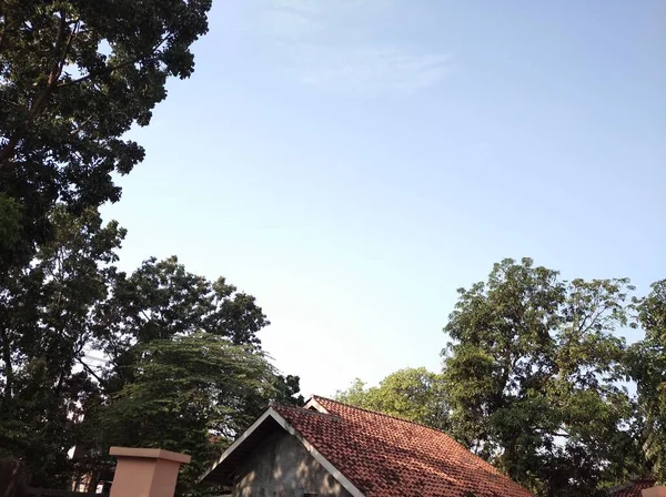 Toit Maison Avec Des Arbres Ciel Bleu Clair — Photo