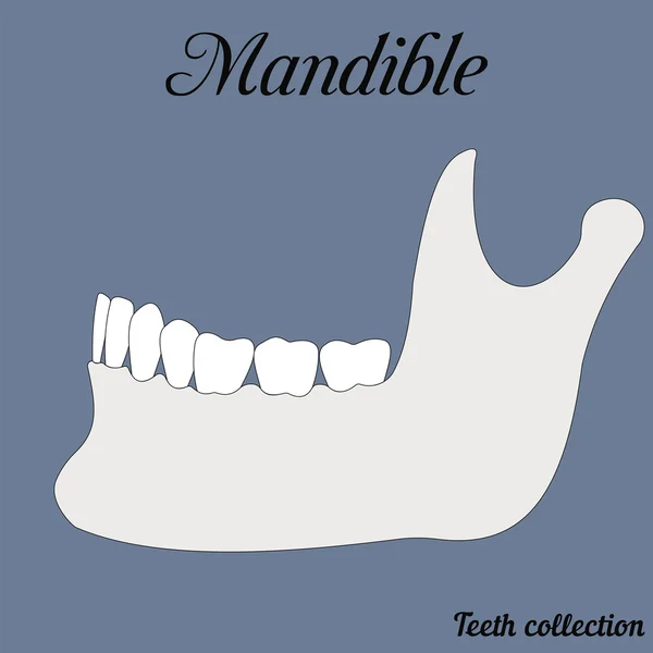 Chiusura dei denti — Vettoriale Stock