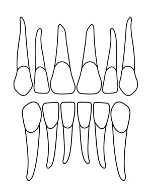 baskı için ön dişini veya tasarım