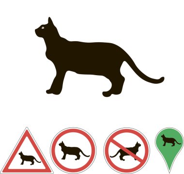 Beyaz bir kediye belirtileri