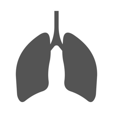 Akciğerler insan solunum organı, siluet solunum yolu akciğerleri.