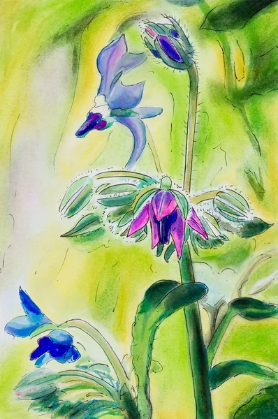 Pintura original de flores de borraja. Vertical . —  Fotos de Stock