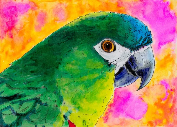 Оригинальная картина зелёного попугая . — стоковое фото