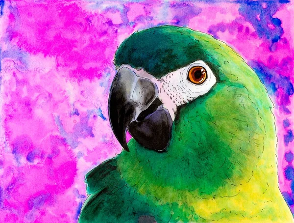 Pintura original de um papagaio verde . — Fotografia de Stock