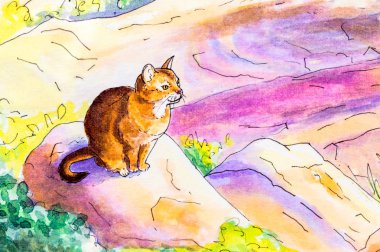 Orijinal resim bir Habeş kedisi.