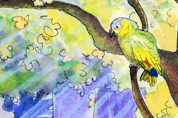 Pintura original de um papagaio amazônico — Fotografia de Stock