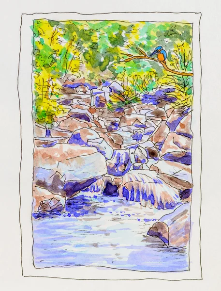 Pintura de Kingfisher y arroyo rocoso . —  Fotos de Stock