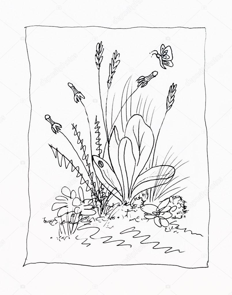 Line drawing of weeds.