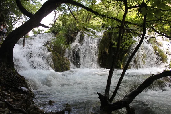 Küçük şelale — Stok fotoğraf